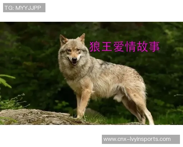 断袖王爷与夜狼王的爱恨纠葛在月光下交织的传奇故事